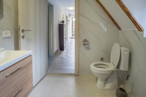 a bathroom with a toilet and a sink at Mountain inn in Žabljak
