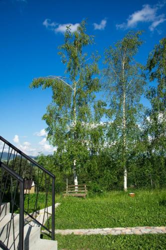 a staircase leading to a park with a tree at Mountain inn in Žabljak