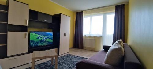 a living room with a couch and a tv at Adelės Apartamentai Panevėžyje in Panevėžys