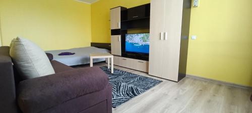 a living room with a couch and a flat screen tv at Adelės Apartamentai Panevėžyje in Panevėžys