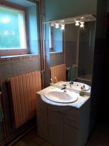 a bathroom with a sink and a large mirror at Gite Rural in Eygurande