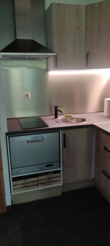 une cuisine avec un évier et un plan de travail dans l'établissement DOMAINE DU GRAND TETRAS SAMOENS, à Samoëns