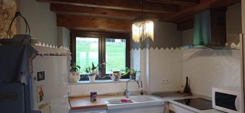 una cocina con fregadero y una ventana con macetas. en La Casina de Valles de San Román, en La Busta