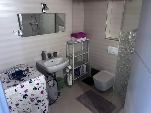 Un baño con lavabo, inodoro y espejo. en Emonia apartman, en Novigrad Istria