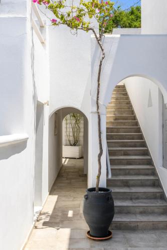 Φωτογραφία από το άλμπουμ του Casa Anna Suites στη Μύκονο Χώρα