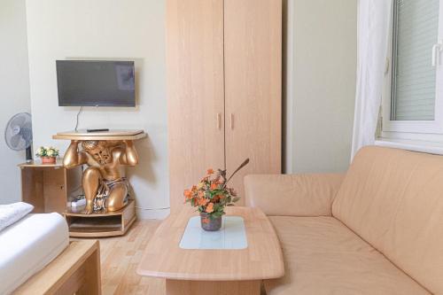 a living room with a couch and a tv at Exquisite Shared Villa - Your Private Room in this Beautiful Home in Vienna