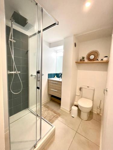 a bathroom with a shower and a toilet and a sink at Le "61" MARINA ROOFTOP 2CH 2SDB TERRASSE MARINA in Baimbridge
