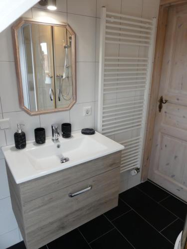 a bathroom with a sink and a mirror and a door at Blumenwerkstatt mit Sauna und Jacuzzi in Dankerode