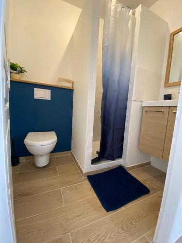 a bathroom with a toilet and a blue shower curtain at Superbe appartement climatisé avec jardin entre mer et montagne in Anglet