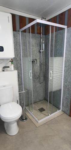 a bathroom with a shower and a toilet at Villa Perran Résidence in Thonon-les-Bains
