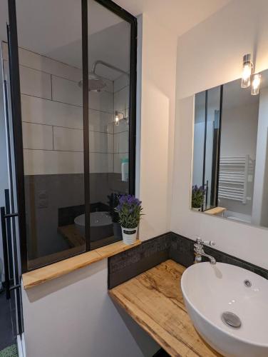 une salle de bain avec un lavabo et un miroir dans l'établissement T2 Bis Cosy proche Gare, à Lourdes