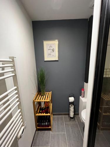 La salle de bains est pourvue de toilettes et d'une étagère avec des bouteilles de vin. dans l'établissement Charmant T2 bis proche Gare et Centre Ville - Parking proche, à Lourdes