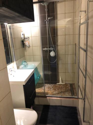łazienka z prysznicem, toaletą i umywalką w obiekcie Appartement vue mer le barcares w mieście Le Barcarès