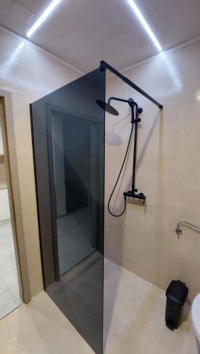 y baño con ducha y puerta de cristal. en Apartments Pletikosa, en Brodarica