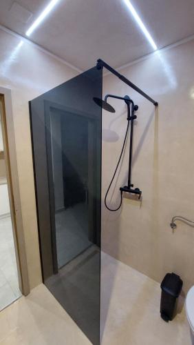 a shower in a bathroom with a glass door at Apartments Pletikosa in Brodarica