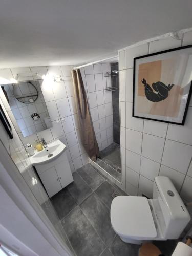 a bathroom with a toilet and a sink and a shower at Viva La Veranda Apartment in Central Athens in Athens