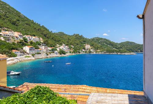 a view of a large body of water with houses at Apartments Daniela & Karlo in Sobra