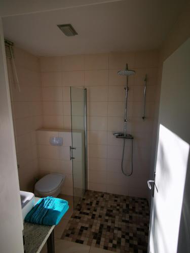 a bathroom with a shower and a toilet and a sink at Ferienhaus Muschel in Kalkhorst