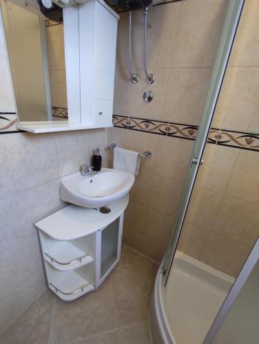 een badkamer met een wastafel en een douche bij Three Lions Apartment in Pula