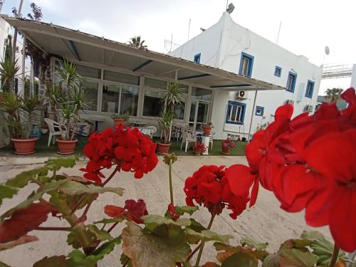 Imagen de la galería de Pay Otel, en Bodrum City