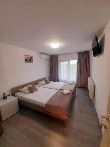 a bedroom with a large bed and a television at Pensiunea Albert in Hîrşova