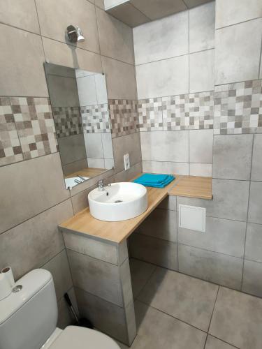 une salle de bain avec un lavabo et des toilettes dans l'établissement Joli apparemment type Loft, à Cavaillon
