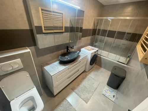 La petite salle de bains est pourvue de toilettes et d'un lavabo. dans l'établissement Delux apartment ARSO, à Velenje