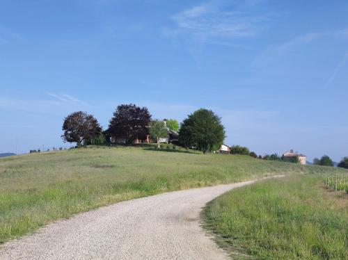a dirt road in the middle of a field at Villa Pieve in Moncalvo
