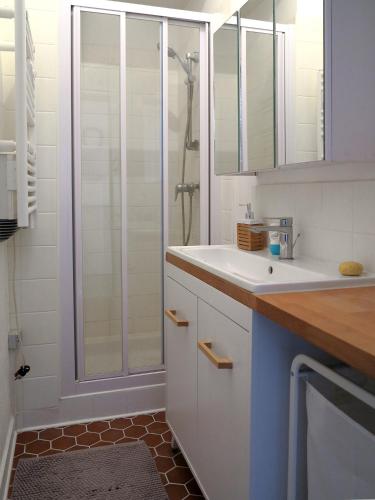 La salle de bains est pourvue d'une douche et d'un lavabo blanc. dans l'établissement Bel appartement avec vue directe sur loire, à Saint-Paimboeuf