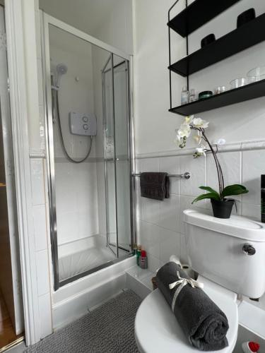 a bathroom with a toilet and a glass shower at Lovely apartment in Cork in Cork