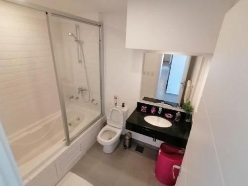 a bathroom with a sink and a toilet and a shower at Parana Playa 1103 in Encarnación