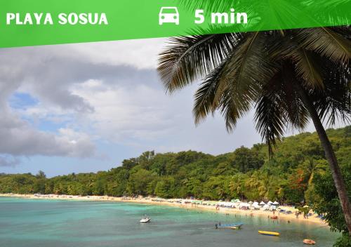 a beach with a palm tree and people in the water at Flat Sea & Sun Monte Vista in Sosúa