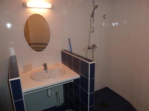 a bathroom with a sink and a mirror at Charmant gîte avec poêle à bois, terrasse et jardin, sentiers rando, 1 chambre + mezzanine - FR-1-496-256 in Véranne