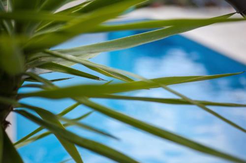 Villa Heritage - Ultimate Croatian Retreat with stunning views and pool