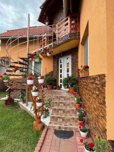 Κήπος έξω από το Casa de Oaspeti Cristian