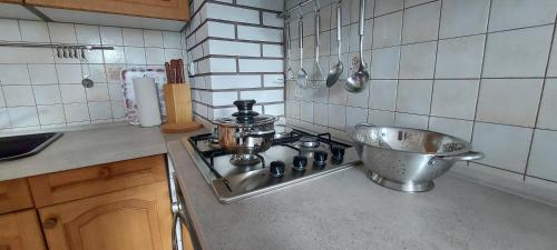Kuhinja oz. manjša kuhinja v nastanitvi Apartma pr' Ivani Miškorinovi