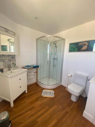 a bathroom with a shower and a toilet and a sink at La Villa plein vent "Lumière du Cap" vue mer in Barneville-Carteret