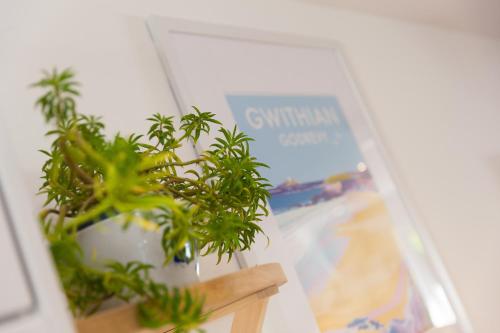 a potted plant sitting on a shelf next to a sign at Hillywych Studio in Redruth