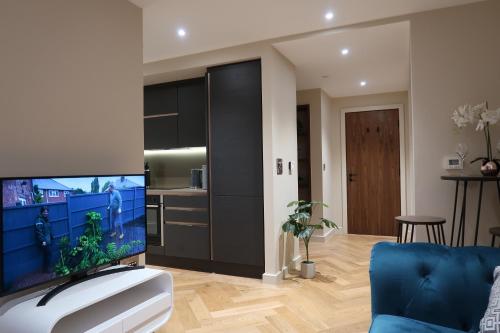 a living room with a large flat screen tv at City Centre Luxury studio apartment suite with garden view in York