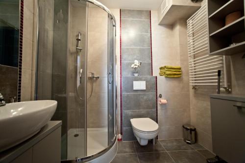 a bathroom with a shower and a toilet and a sink at Apartamenty Villa Incognito in Szklarska Poręba