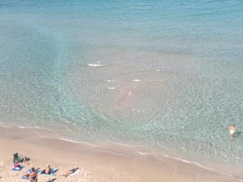 Φυσικό τοπίο κοντά σε αυτό το διαμέρισμα