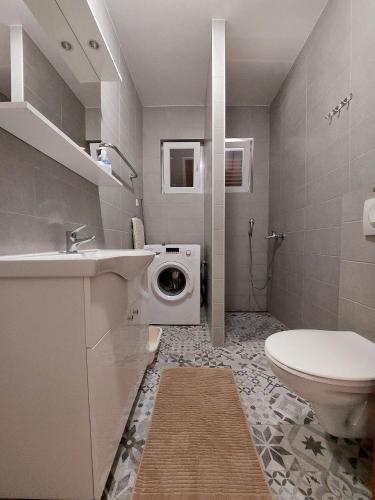 a bathroom with a washing machine next to a toilet at House Leticija rustica in Novalja