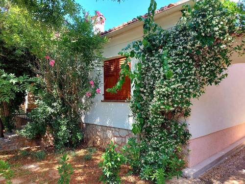 House Leticija rustica