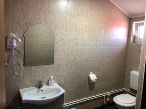 a bathroom with a sink and a toilet and a mirror at Pensiunea Melinda in Praid