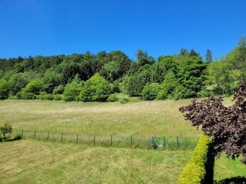 a field with a fence and trees in the background at Ferienwohnung Forsthaus in Willingen