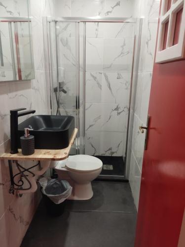 a bathroom with a toilet and a sink and a shower at Casa de Porto Covo Guest House in Porto Covo