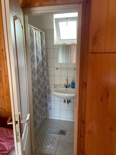 a bathroom with a shower and a sink at Gábor Magánszállás Nagykanizsa Alkotmány út 195 in Palin