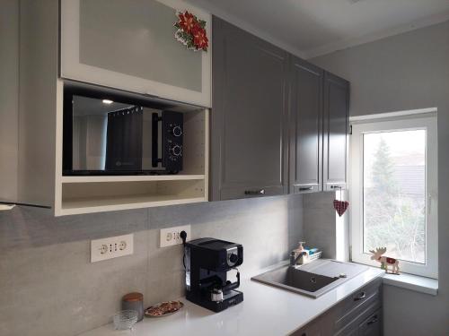 a kitchen with a sink and a microwave at Blue Central House, curte proprie in Oradea