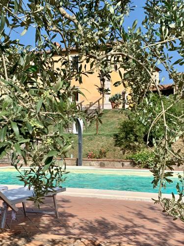 a swimming pool with a bench in front of a house at Podere le Mulina in Castiglione dʼOrcia