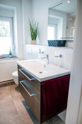 a bathroom with a sink and a toilet at Ferienwohnungen Finkengrund in Büren